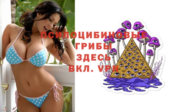 мяу мяу кристалл Богданович