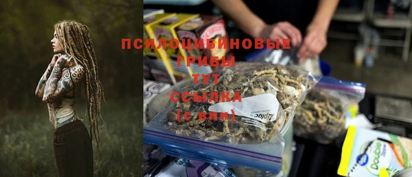 мяу мяу кристалл Богданович